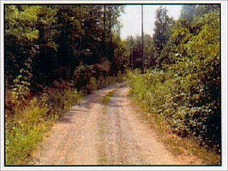 2nd image of 1024 Branch Dr