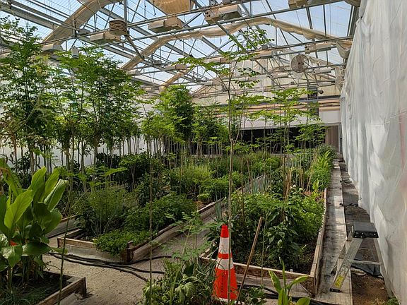 5th image of 1251 Pleasant Grove Rd