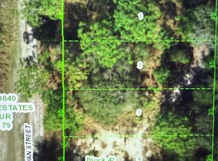 11142 GOWAN STREET LOT 1, NEW PORT RICHEY, FL 34654