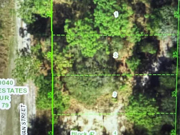 11142 Gowan St Lot 1, New Pt Richey, FL 34654