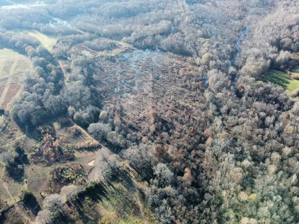 0 Terry Ln, Henderson, TN 38340