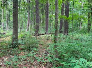 Vl N Lynn St, Sanford, MI 48657