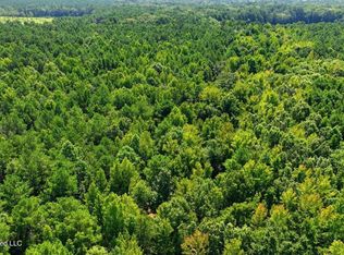 42 Potluck Rd, Canton, MS 39046