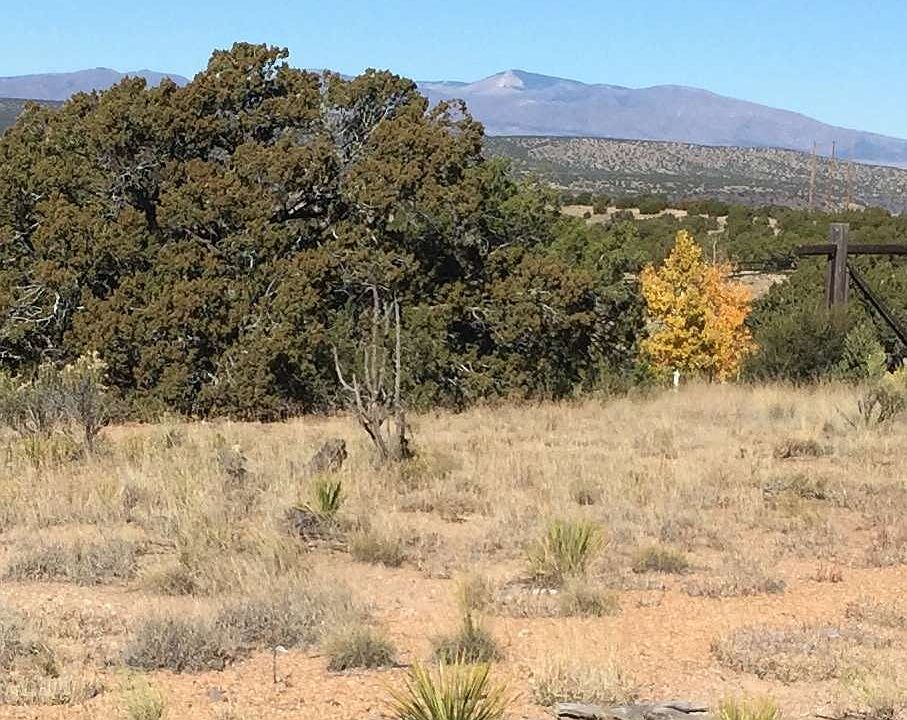 1st image of 6 Hacienda Caballero