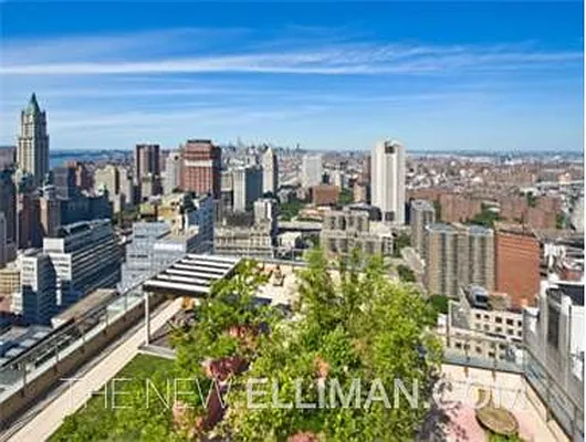 Rented by Douglas Elliman | media 5