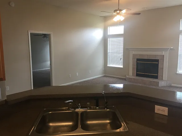 4406 Hanging Moss Dr — Photo 4