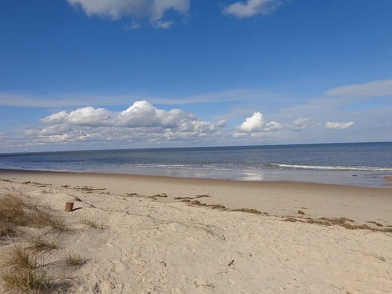 2828 E Ocean View Ave — Photo 10