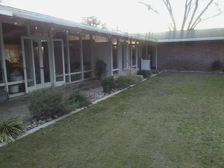 back yard