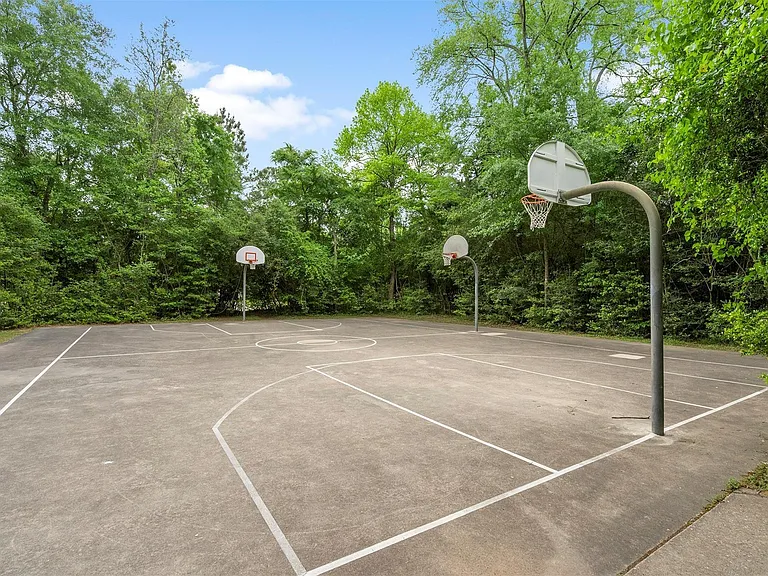 36 White Bark Pl — Photo 49