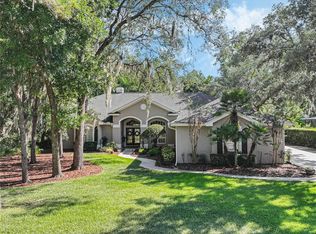5849 Audubon Manor Blvd, Lithia, FL 33547