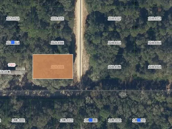 0 Donys Ave #15, Interlachen, FL 32148
