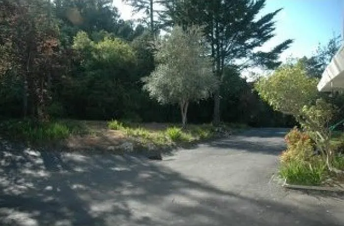 Driveway and yard