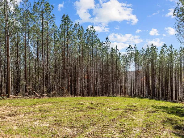 0 Cotton Branch Rd Lot 1, Linden, TN 37096