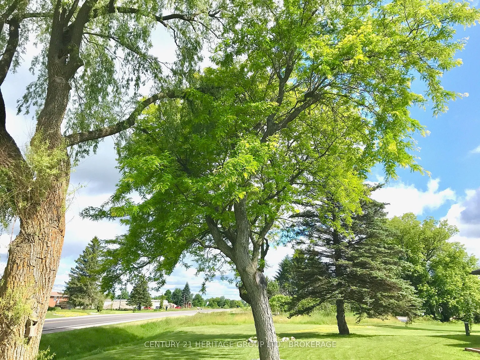 3 bed, $2,150 — Photo 2