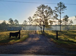 3460 County Road 4404, Banks, AL 36005