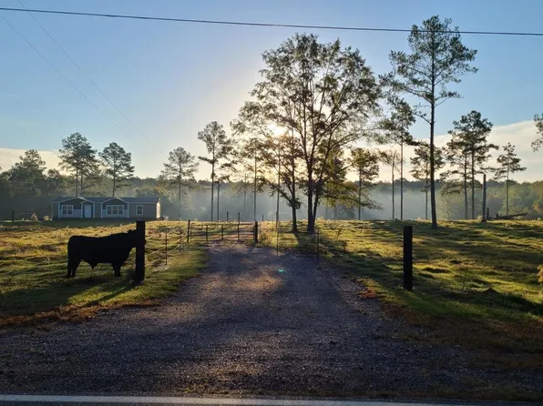 3460 County Road 4404, Banks, AL 36005