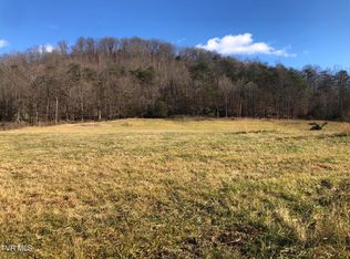 1390 Babbs Mill Rd, Afton, TN 37616