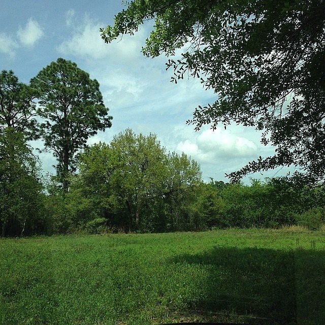 2nd image of 9727 Windy Hill Rd