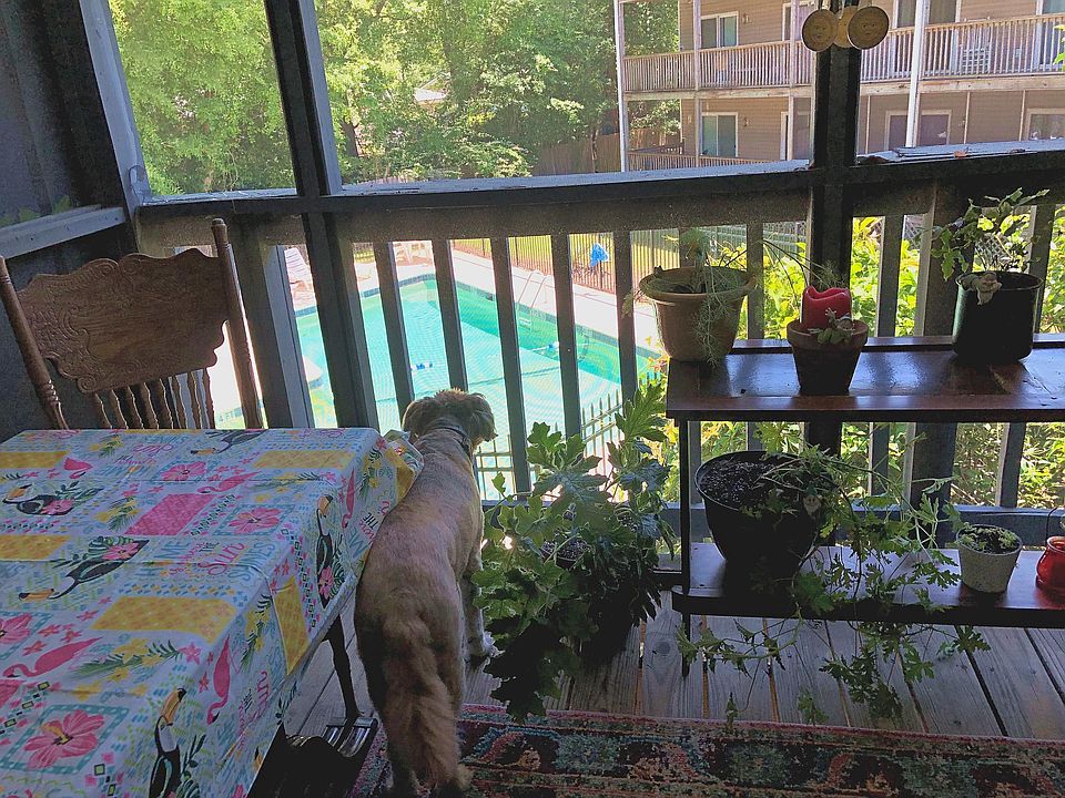 Screened in Balcony overlooking Pool