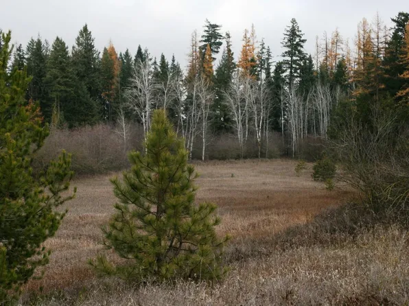 0 W Mule Deer Ln Lot 6, Deer Park, WA 99006