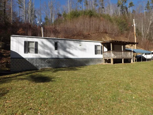 117 Ben Ashley Ln, Roan Mountain, TN 37687