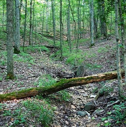 View of creek at back of property