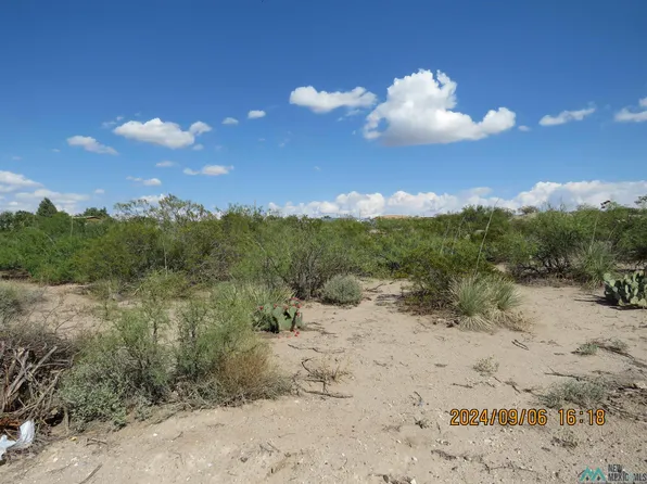 423 San Mateo Ave, Truth Or Consequences, NM 87935