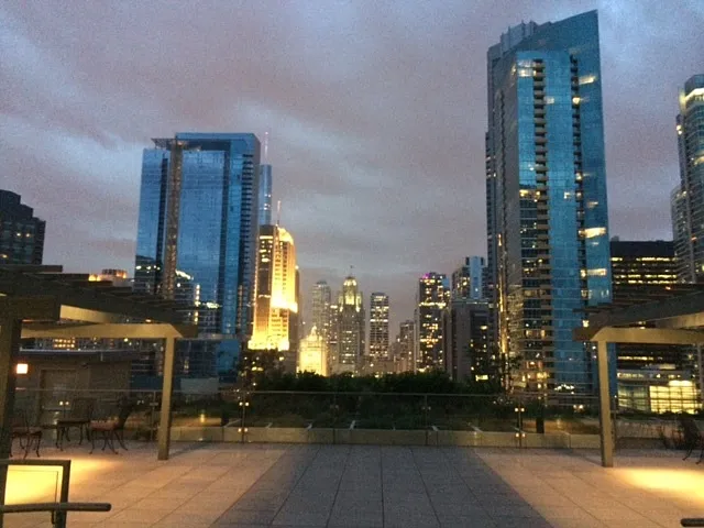 474 N Lake Shore Dr #4203 — Photo 12