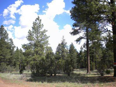 2889 Homestead Dr, Overgaard, AZ, 85933