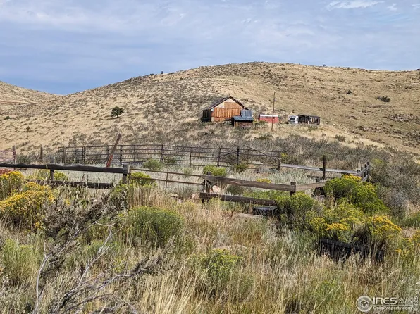 1005 Deer Meadow Way, Livermore, CO 80536