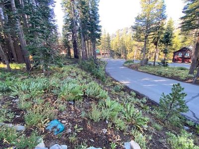 25 Larkspur Dr #408, Kirkwood, CA, 95646
