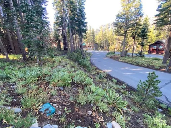 25 Larkspur Dr #408, Kirkwood, CA 95646