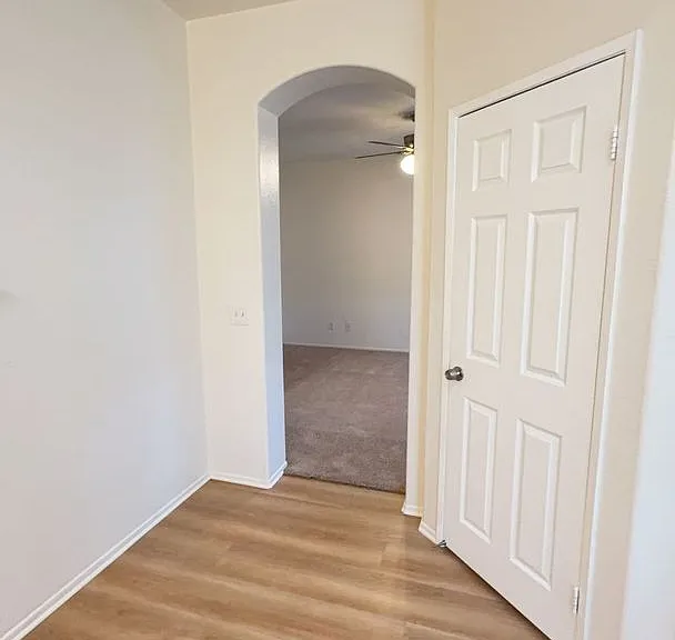 11584 Fern Pine St — Photo 4