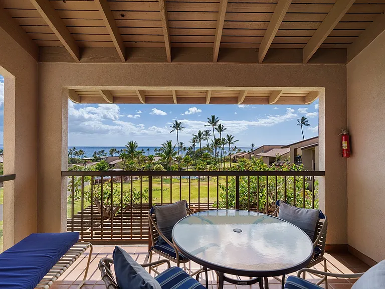 Wailea Alanui Dr — Photo 9