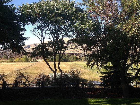 view of back yard to pasture