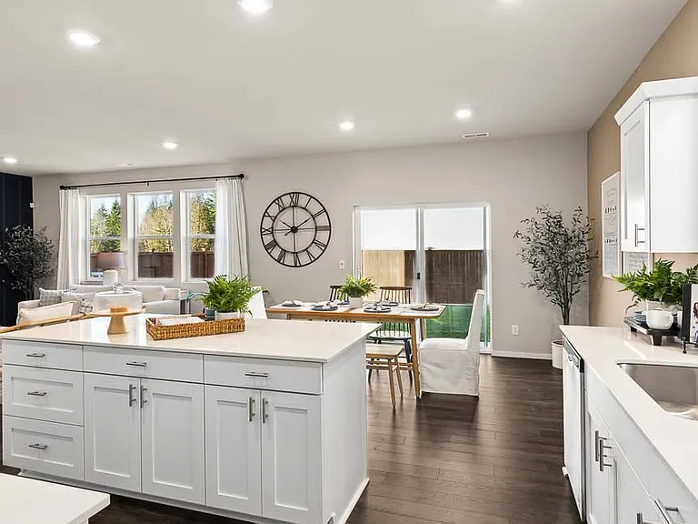 Builders inspiration images, kitchen and living. The backyard is not the actual backyard.