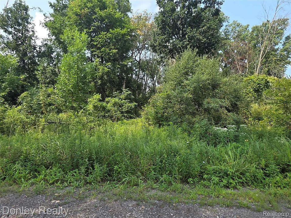20 Vacant Lots Concord Cranbrook & Ln, photo 3