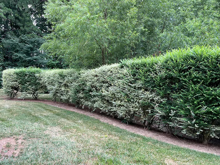 14113 Castle Abbey Ln — Photo 22
