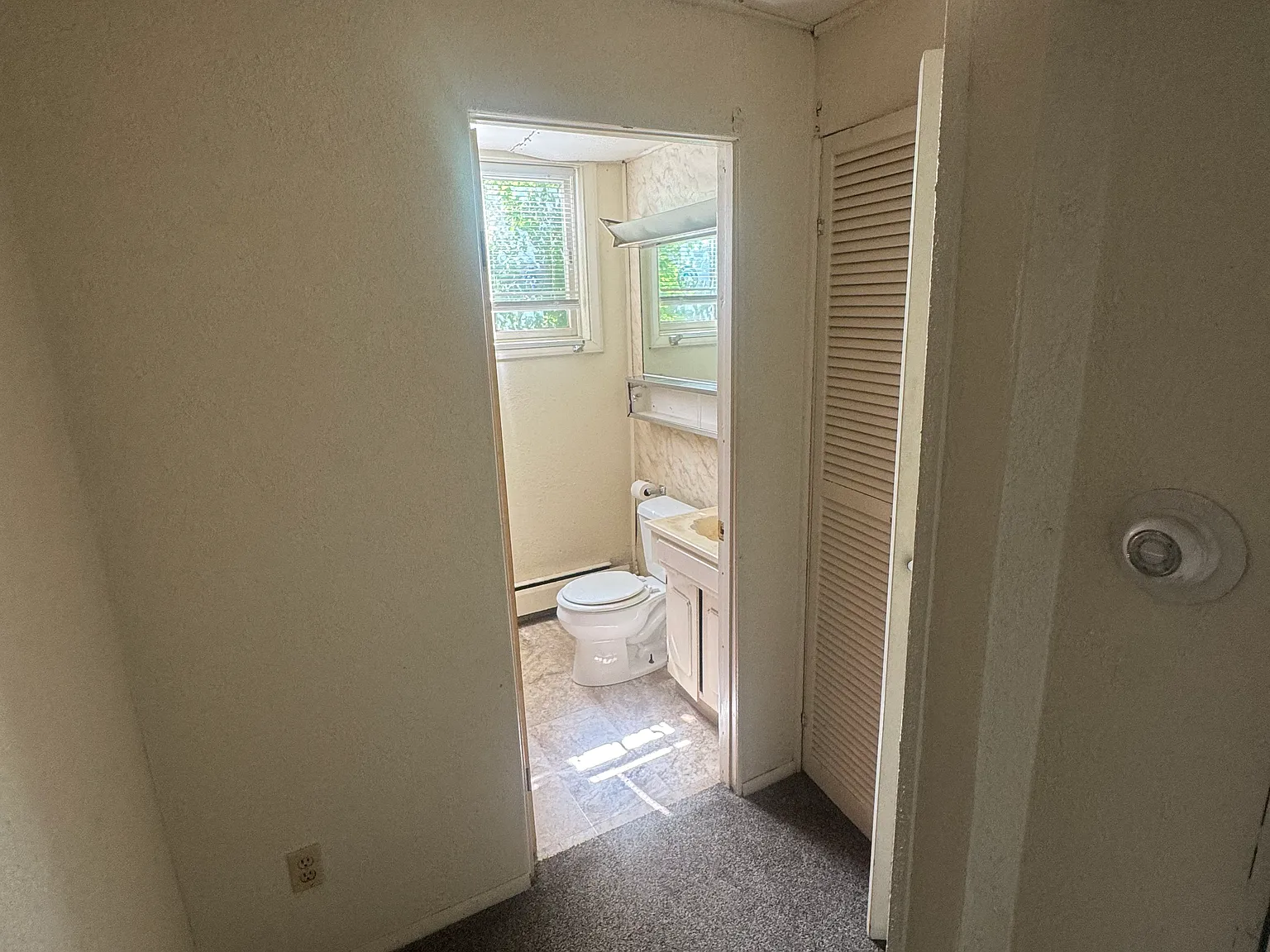 1 bed, $900 — Photo 4