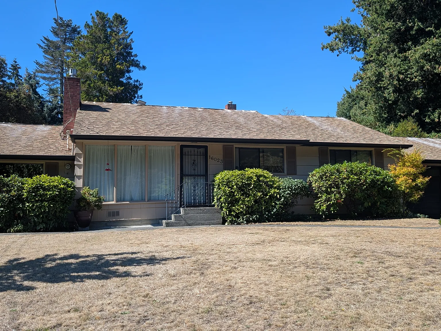 3 bed, 1300 sqft, $3,600 — Photo 1