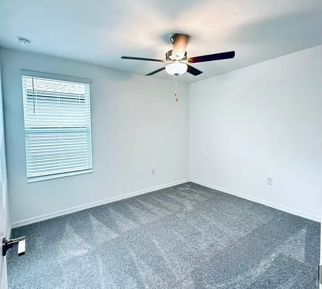 11524 Radiant Shore Loop — Photo 37