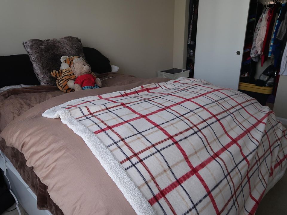 Queen Bed fits nicely