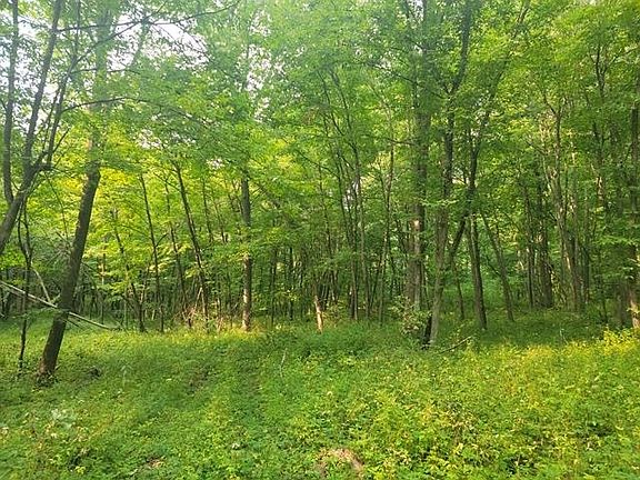 5th image of County Rd W