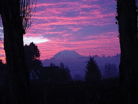 Sunrise from back porch 12/0/06 7:30 AM