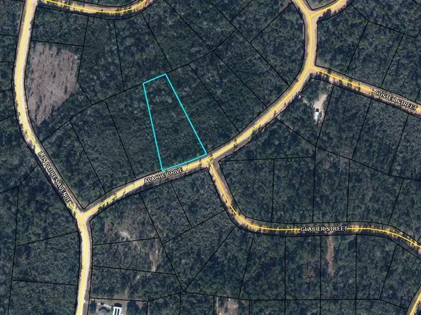 Apache Dr, Alford, FL 32420