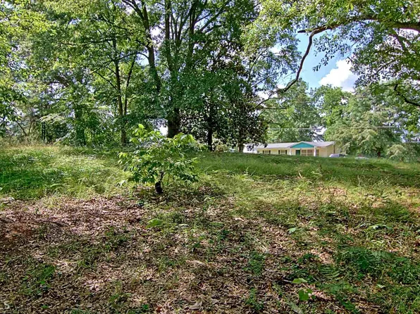 99 Couch St, Senoia, GA 30276