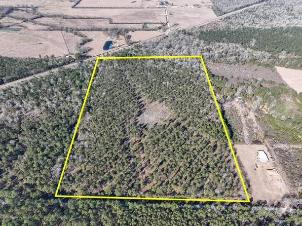 Louisville Rd, Groveton, TX 75845