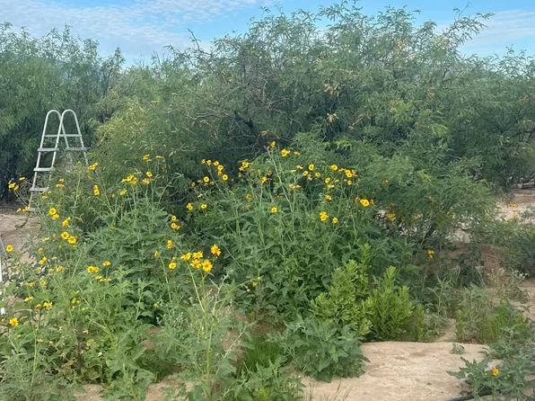 2232 N Cottontail Ln, Cochise, AZ 85606