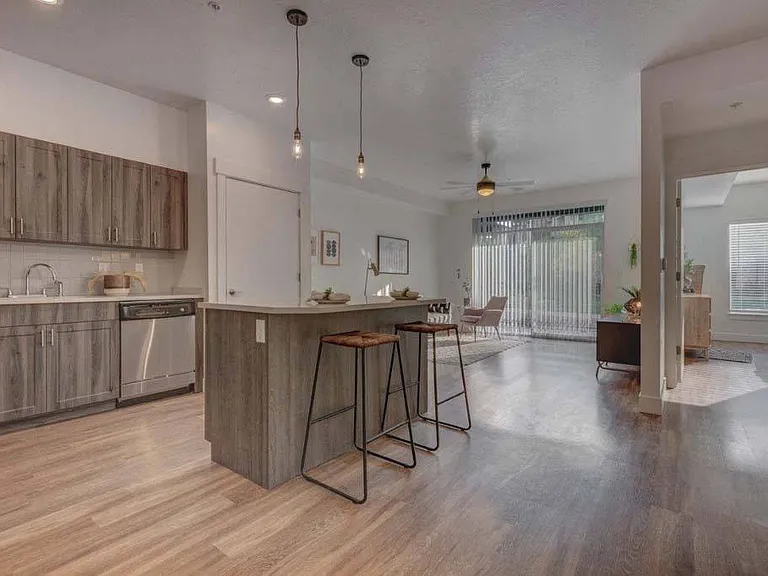 Kitchen and Living Room