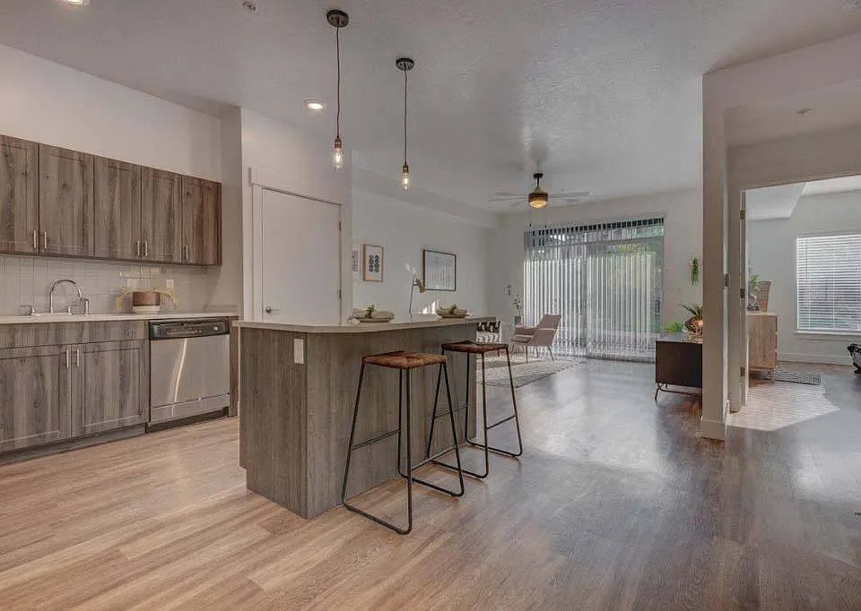 Kitchen and Living Room